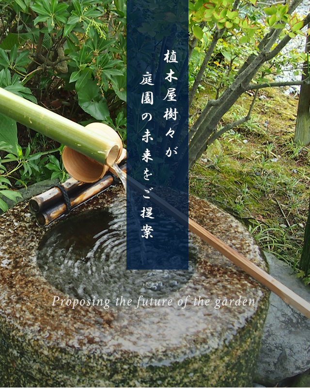 ＊うえきや＊ あげもちCocoro〉花吹寄せ8袋入 B3021(8袋入)｜近鉄百貨店ネット